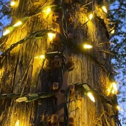 TreE-Z Wrap Clear - Available In Bags/Cases Of 5, 25 And 420 10 TreE-Z Wrap Clear - Available In Bags/Cases Of 5, 25 And 420 -Christmas Decoration Store on tree vertical 5