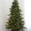 7.5' Indoor LED Mixed Foxtail Pine Christmas Tree - Warm White 2 7.5' Indoor LED Mixed Foxtail Pine Christmas Tree - Warm White -Christmas Decoration Store t it 75 1217 ww 1