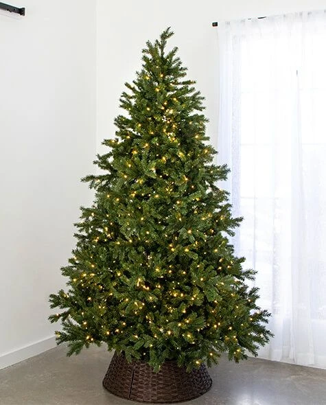 7.5' Indoor LED Sacred Fir Christmas Tree - Warm White 3 7.5' Indoor LED Sacred Fir Christmas Tree - Warm White