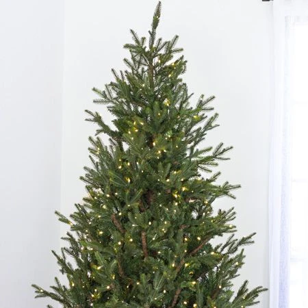 7.5' Indoor LED Upswept Norway Spruce Christmas Tree - Warm White 5 7.5' Indoor LED Upswept Norway Spruce Christmas Tree - Warm White - Image 3