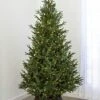 7.5' Indoor LED Upswept Norway Spruce Christmas Tree - Warm White 2 7.5' Indoor LED Upswept Norway Spruce Christmas Tree - Warm White -Christmas Decoration Store t it 75 1225 ww 1